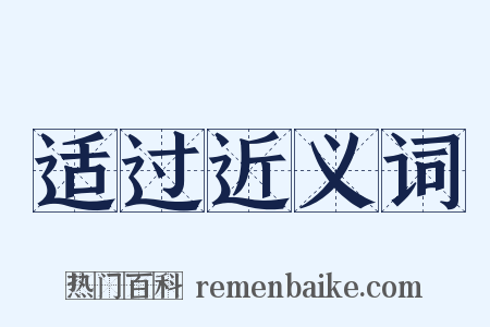 适过近义词是什么意思的图片